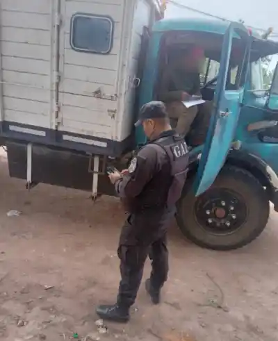 Control en la ruta 5: el camión no tenía papeles, pero lo que llevadentro cambió todo