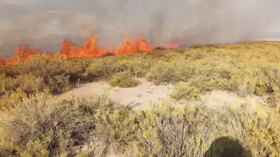 El fuego arrasó la Puna durante siete horas: la alerta que llegó a tiempo desde Laguna de Pozuelos
