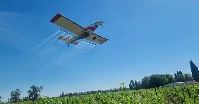 Mendoza fumiga 90.000 hectáreas de viñedos: las zonas que quedarán en el aire