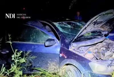 Cuatro caballos aparecieron en la ruta y lo que pasó después dejó a todos en shock