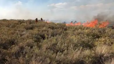 El fuego avanzó por la Puna jujeña y las dotaciones recién pudieron respirar cerca de la medianoche
