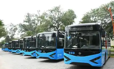 Una línea de colectivos con una particularidad única ya está en las calles: ¿qué la hace tan especial?