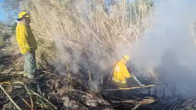 El fuego avanzaba detrás de una casa en Albardón: cómo lograron frenarlo