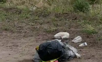 Tiran bolsas de basura a metros del cementerio y no frenan: el reclamo que crece en Catriló
