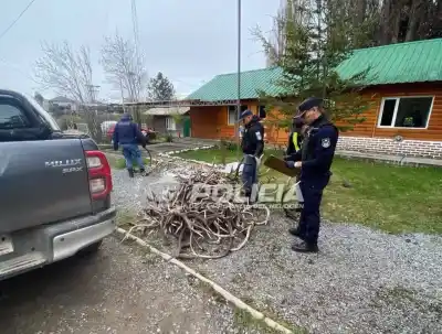Una camioneta gris llamó la atención en la Ruta 40 y aparecieron 155 astas de ciervo