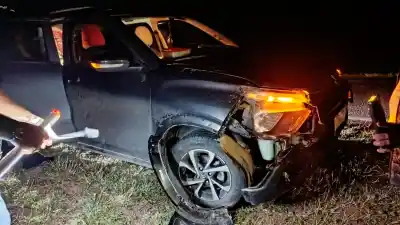 Volvían de Tucumán por la Ruta 9 y las cabras aparecieron de golpe en la calzada