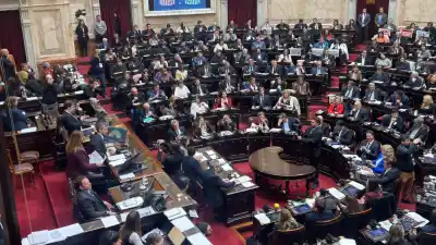La oposición juega su carta en Diputados, pero todavía le faltan votos para el DNU 70