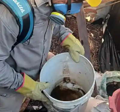 Llovió toda la semana en Corrientes y el mosquito que preocupa ya tiene su mapa