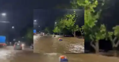 El agua sorprendió a los vecinos de Rodeo del Medio: lo que dejó el temporal en Mendoza