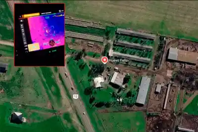 Creyó que el trigo lo iba a tapar, pero un drone térmico lo encontró arriba de un árbol