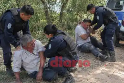 Un enjambre de abejas lo atacó en una casa de Rapelli: murió un hombre y hay cinco heridos