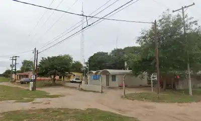 Un enjambre los atacó en plena calle y la policía corrió a rescatarlos: no salió como esperaban