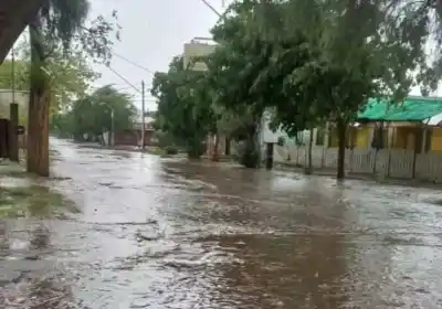 Granizo del tamaño de una pelota en Jáchal: dónde golpeó más fuerte el temporal sanjuanino