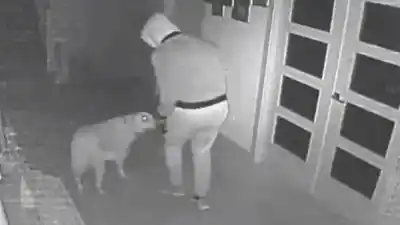 Violentó el candado de la casa de su ex en San Pedro: lo que dejó adentro firmado con su nombre