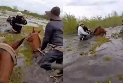 La crecida del Paraná los obligó a dejar todo atrás: el rescate que se complica en el agua