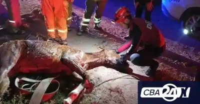 Cayó a un canal de riego en Cruz del Eje y tuvieron que llamar al DUAR para rescatarlo