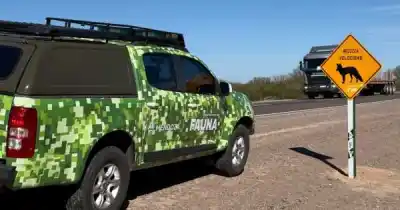 Carteles en la ruta 153: el aviso que puede salvar a los animales de Ñacuñán