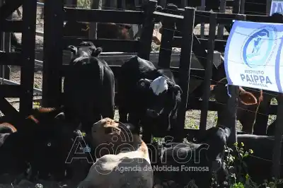Puerto Irigoyen se prepara para una jornada clave: los números que mueven a los productores