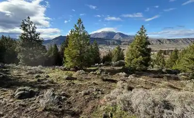 El parque escondido de Esquel que el municipio quiere abrir al público: qué va a tener