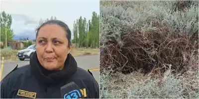 Buscaban a Amelia en la ruta 40 y un objeto entre los yuyos les cambió el operativo