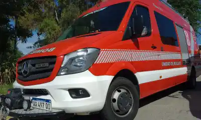 Salió a caminar con su perro por la Ruta 7 y terminó necesitando a los bomberos: la razón