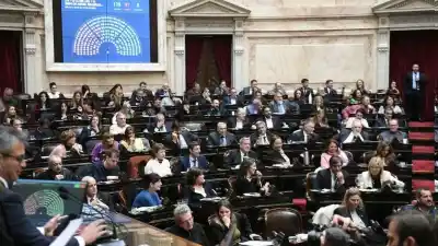 Los diputados misioneros dieron vuelta su voto y ahora van contra el DNU estrella de Milei