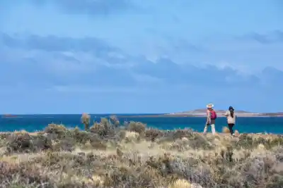 El camping gratuito frente al mar patagónico donde las aves llegan desde Canadá