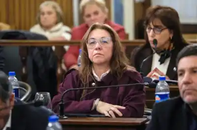 Ficha Limpia: la senadora Díaz apuntó contra el Gobierno y pidió que «no me usen»
