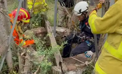 Ocultaron la carne en un pozo de agua: el allanamiento que destapó todo en Victorica