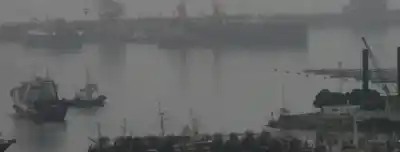 Río Grande se llena de expertos para debatir un tema que pone en jaque al Atlántico Sur