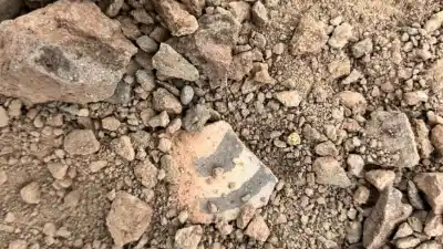 Gendarmes patrullaban la cordillera y se toparon con siete piezas que nadie esperaba