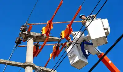 Una rama, tres departamentos sin luz: quién estaba podando cuando se cortó el servicio