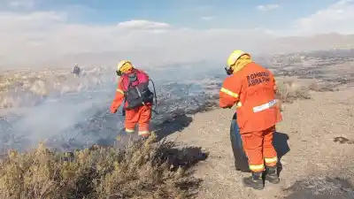 El fuego arrasó 61 hectáreas en la Puna y una hipótesis preocupa a los bomberos