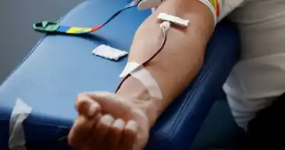 Donar sangre en Río Gallegos: la Legislatura abre sus puertas este miércoles