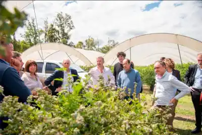 Frigerio se metió en una planta de frutas de Colonia Ayuí y destrabó un negocio clave para la provincia