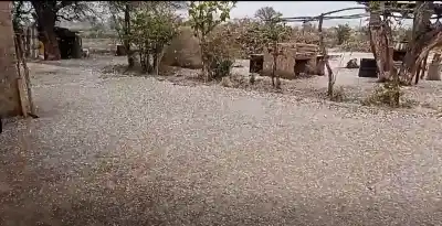 Jáchal bajo agua: llovió más de cinco horas y el río seco sorprendió a todos