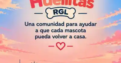 Vecinos de Río Gallegos crearon una app para encontrar mascotas perdidas y ya está en Google Play