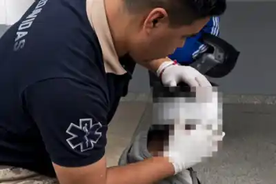 La Banda: un alumno de séptimo grado terminó con una lapicera clavada en la sien y tuvo que ser internado de urgencia