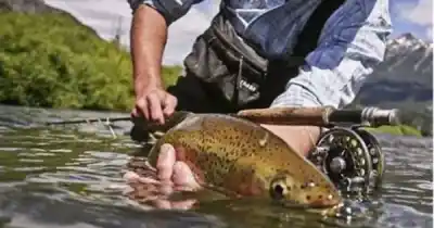 La temporada de pesca sigue abierta en Santa Cruz: lo que te puede costar olvidarte del permiso
