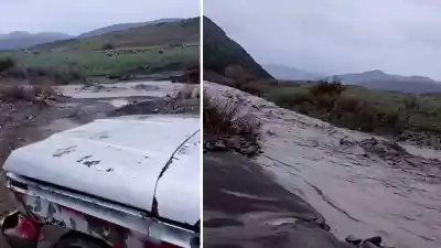 El temporal aisló a un puestero con sus perros en el oeste neuquino: cómo terminó