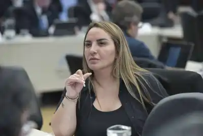 Freites llevó a la comisión las cifras que golpean a Tierra del Fuego: 10 mil empleos y 1.683 obras caídas