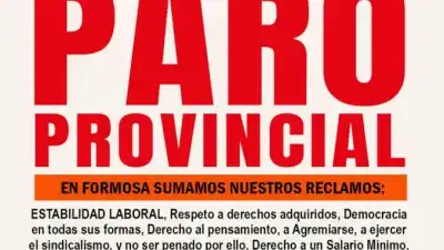 Formosa: los docentes paran el jueves y una profesora define su futuro en Tribunales