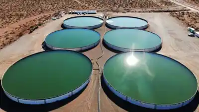 El agua que Vaca Muerta todavía tira: el camino que el Permian ya recorrió y el canon que apura el cambio