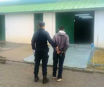 Entró a una casa de San Luis con un cómplice: los vecinos fueron clave y ahora duerme en la cárcel