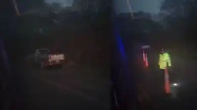 Un caballo suelto en plena Ruta 9 y una camioneta que no pudo esquivarlo