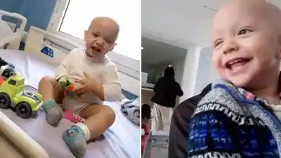 Gohan ya tiene su prótesis ocular: el gesto solidario que lo acerca a casa