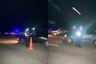 Un yaguareté apareció en la ruta y la policía salió a frenar a los conductores