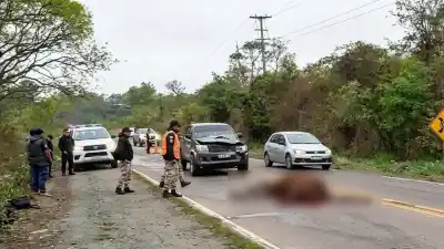 Volvían de la feria con la camioneta llena: lo que se cruzó en la ruta los dejó a pie