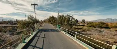 La jauría que baja del río Jáchal ya mató animales en el barrio y los vecinos temen por los chicos