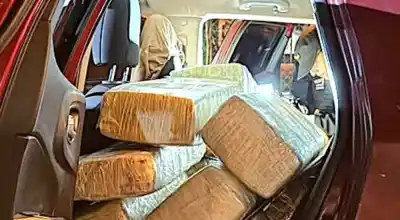 Perseguían una camioneta robada en Buenos Aires y adentro había 740 kilos de marihuana